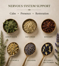 Load image into Gallery viewer, Sanctuary Bliss Herbal Tea Blend
